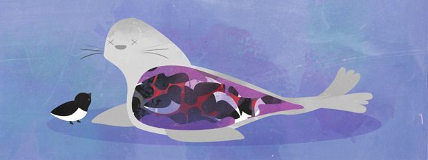 科普：生吃鸟屎营养丰富，用青蛙验孕？这些你没听过的冷知识！