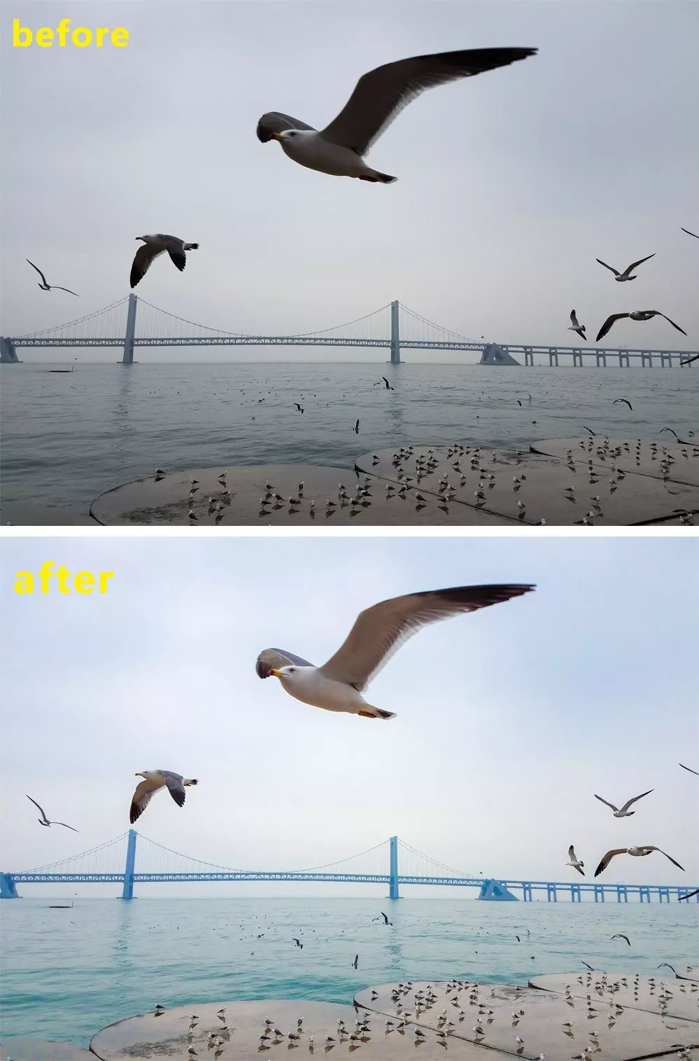 如何用snapseed提高画质,比snapseed还好用