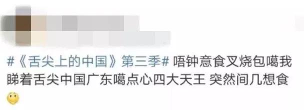 舌尖上的中国广东叉烧肉,舌尖上的中国叉烧包视频