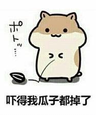 为什么说莆田的鞋都是假鞋,莆田的假鞋普通和顶级