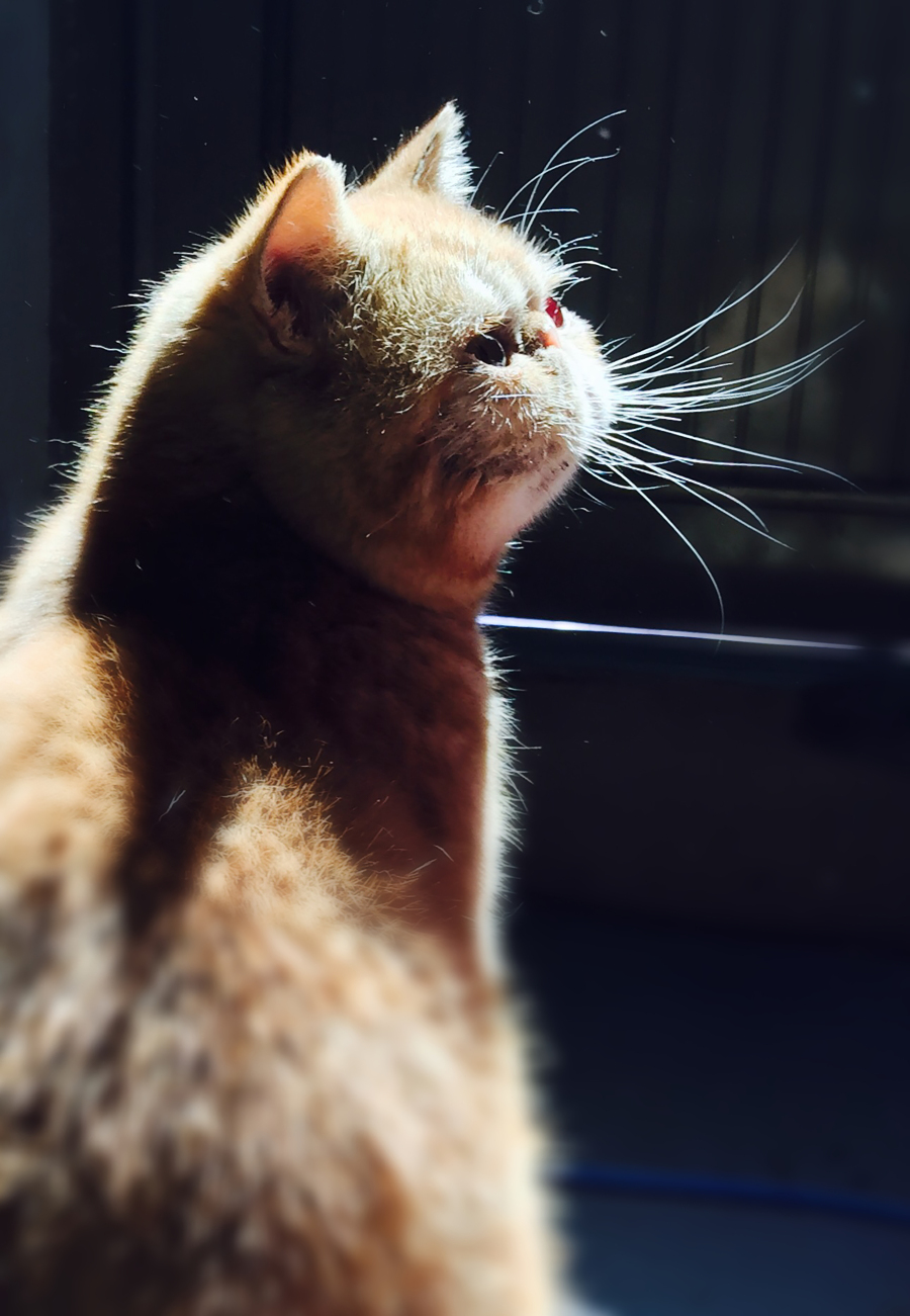 语文材料作文的四种审题立意方法,写作审题的方法与技巧