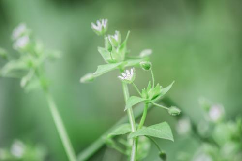 闲时遐想，谨以此文共勉！