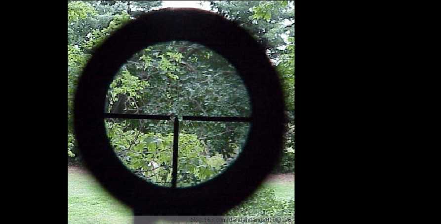 瞄准器和枪管瞄准器有什么区别,步枪各种瞄准器怎么看