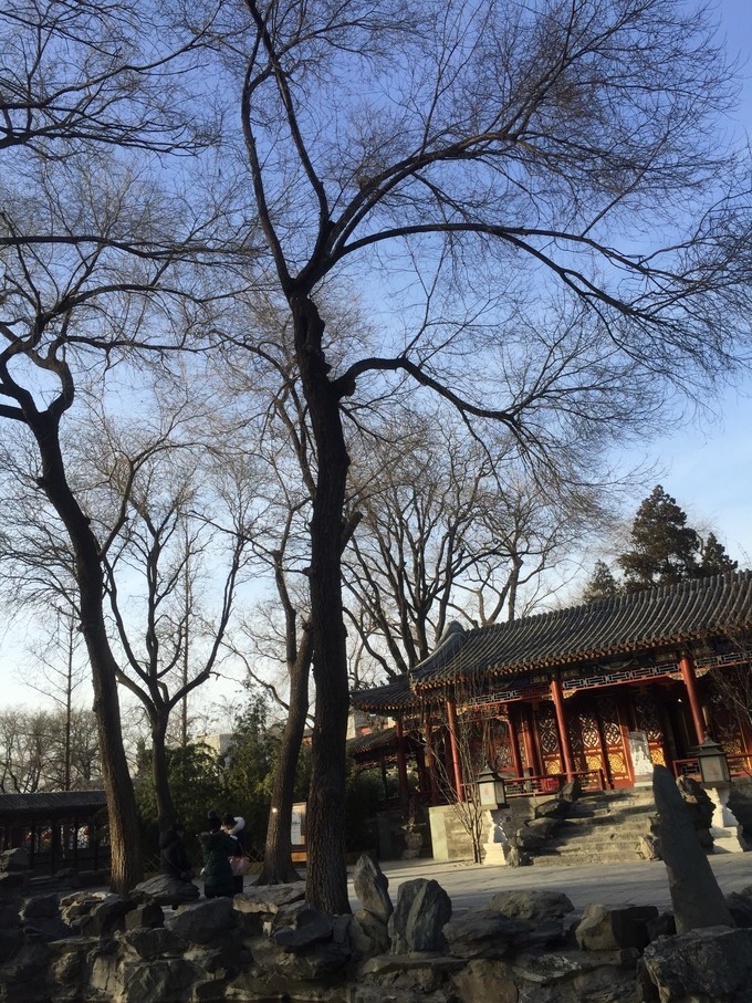 冬天去哪里旅游暖和特点美食,冬季游玩攻略美食推荐