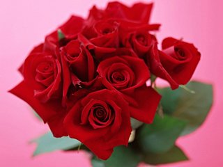 英语节日演讲ppt,英语ppt演讲主题传统节日