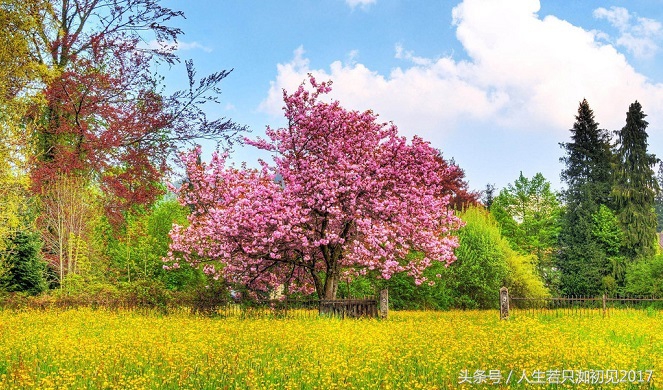 富人的思维深度解析,什么是富人思维如何培养这种思维
