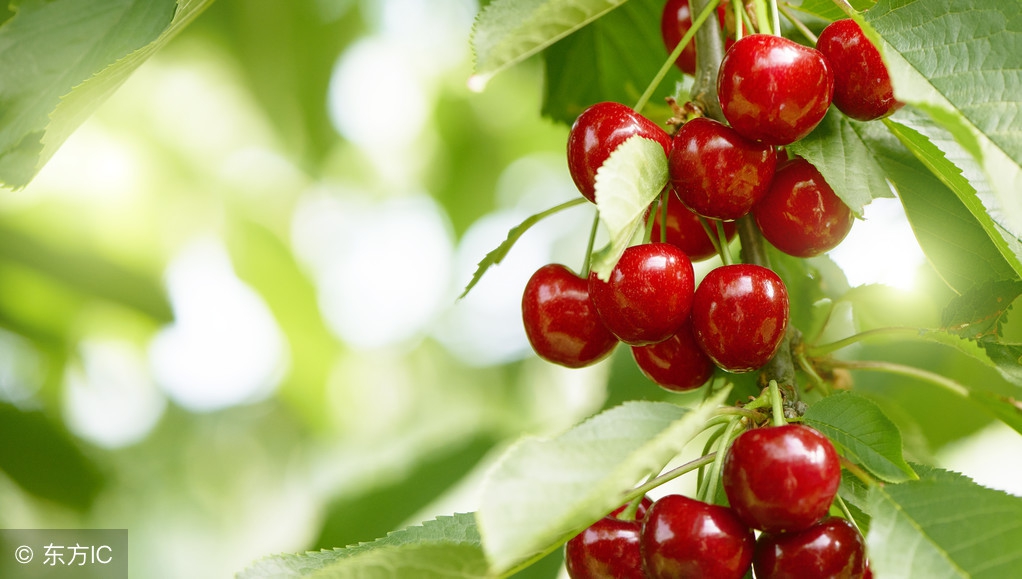 健康嘴唇颜色跟不正常区别,看看你的唇色是否健康