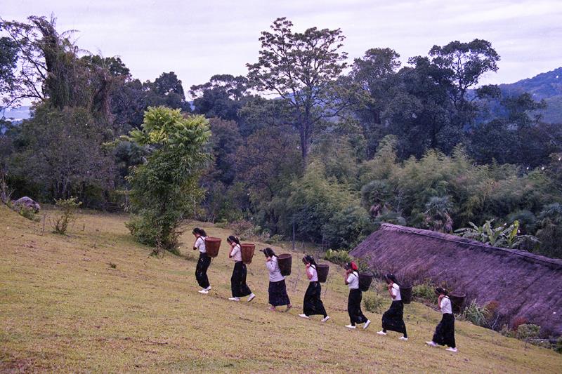 云南赶街场面描写,云南赶街赶集视频