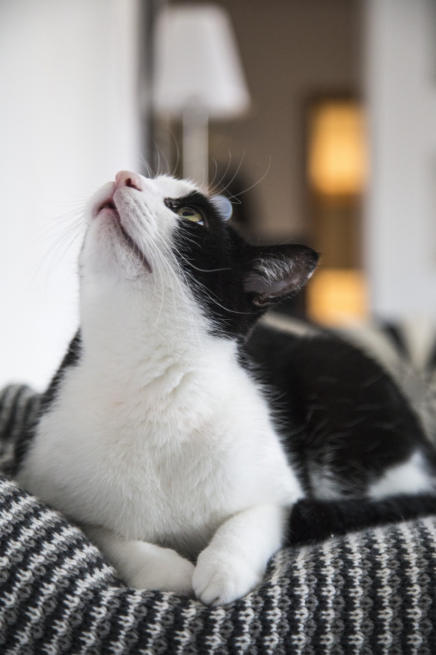 语文材料作文的四种审题立意方法,写作审题的方法与技巧