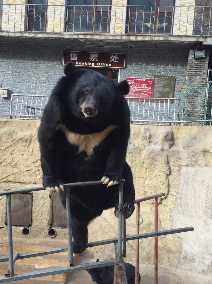 冬天去哪里旅游暖和特点美食,冬季游玩攻略美食推荐