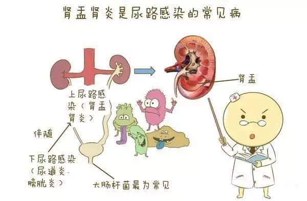 中医泌尿系统疑难杂症,尿路方面的名医