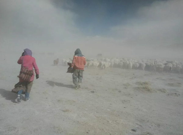 *藏西**阿里深处，响起冬季幸福的牧歌