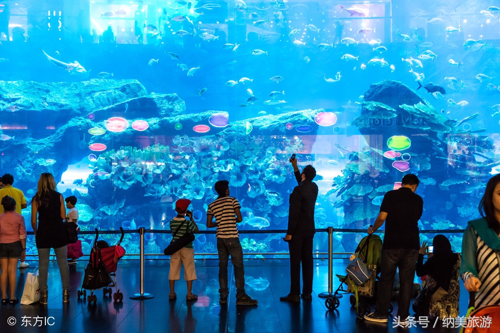 流金之城——Dubai，迪拜