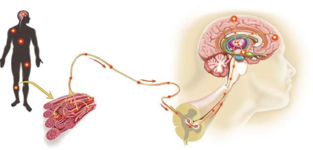 怎么练习阿根廷探戈,哪有免费阿根廷探戈教学视频