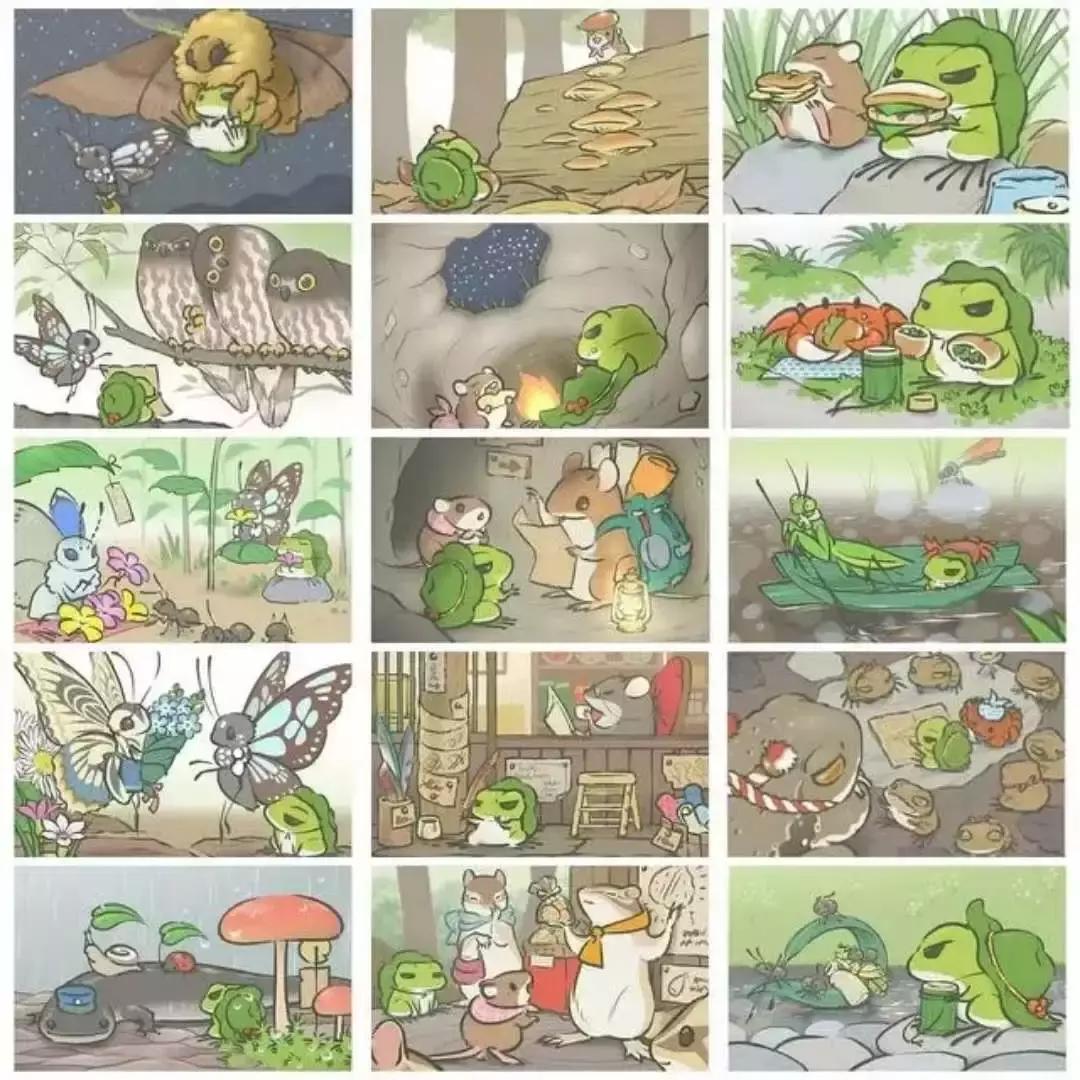 养蛙的成功经历,养蛙的感受和体验