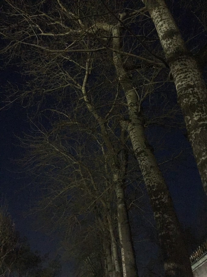 冬天去哪里旅游暖和特点美食,冬季游玩攻略美食推荐