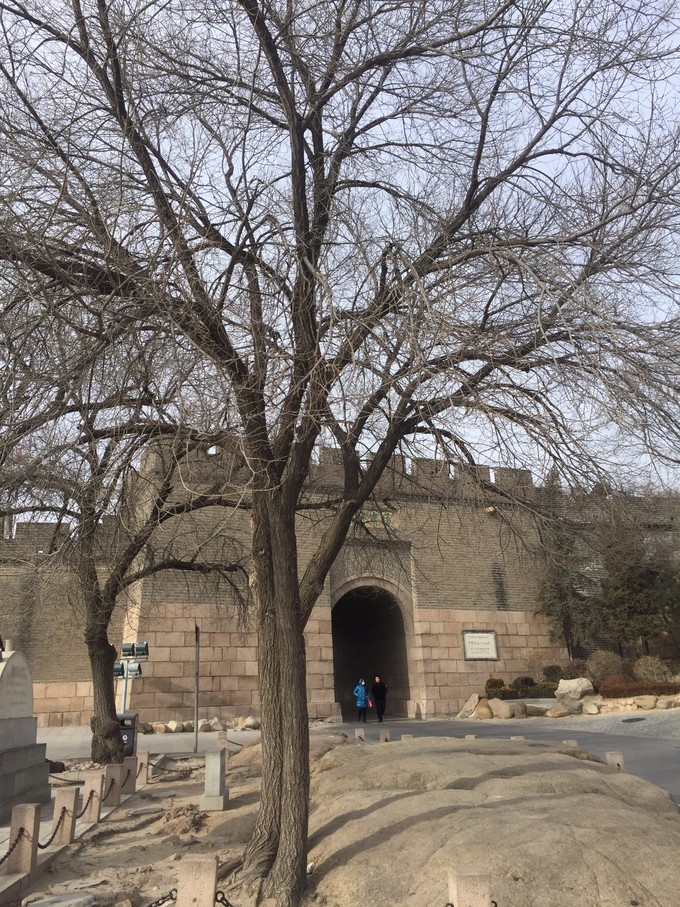 冬天去哪里旅游暖和特点美食,冬季游玩攻略美食推荐