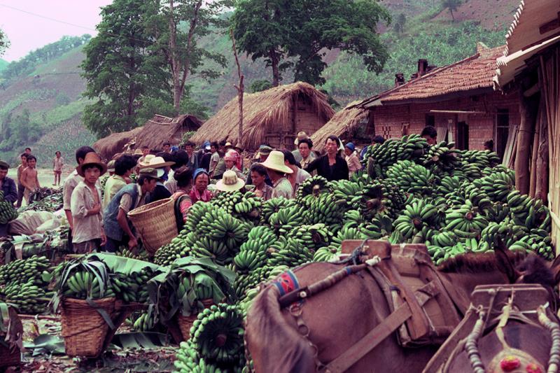云南赶街场面描写,云南赶街赶集视频