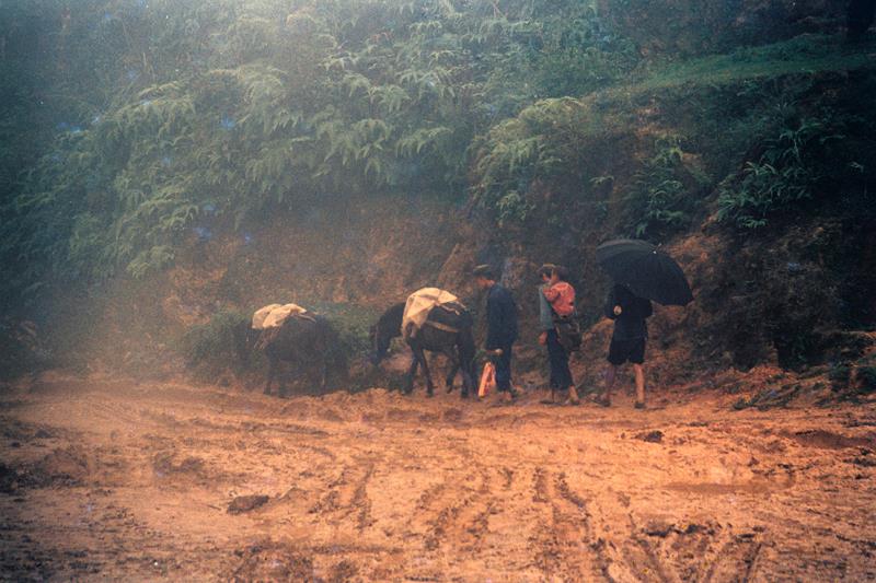 云南赶街场面描写,云南赶街赶集视频