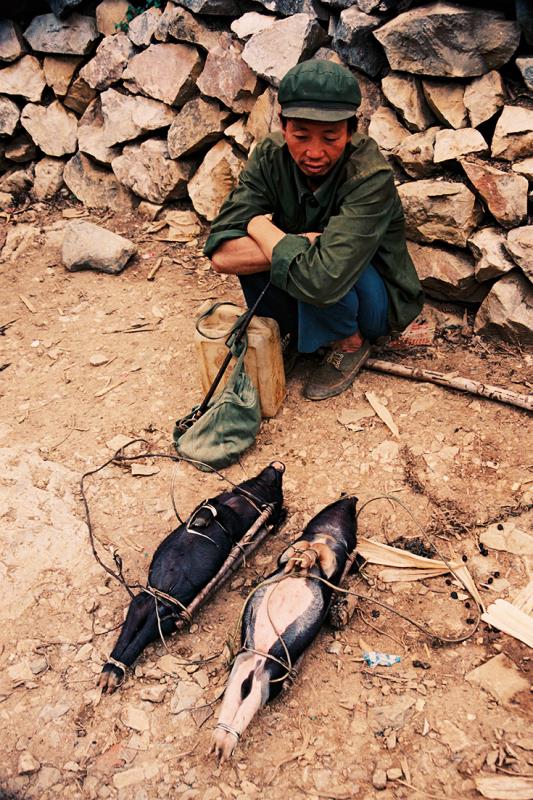 云南赶街场面描写,云南赶街赶集视频