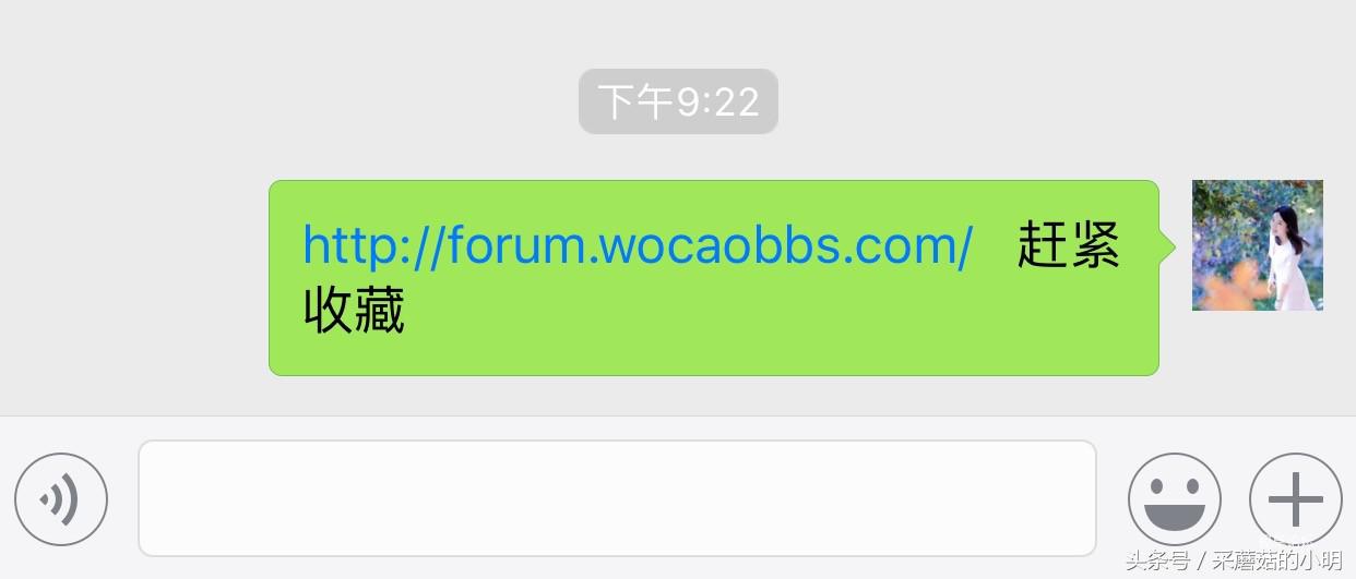 微信群发200限制解决方法,微信群发突破200人