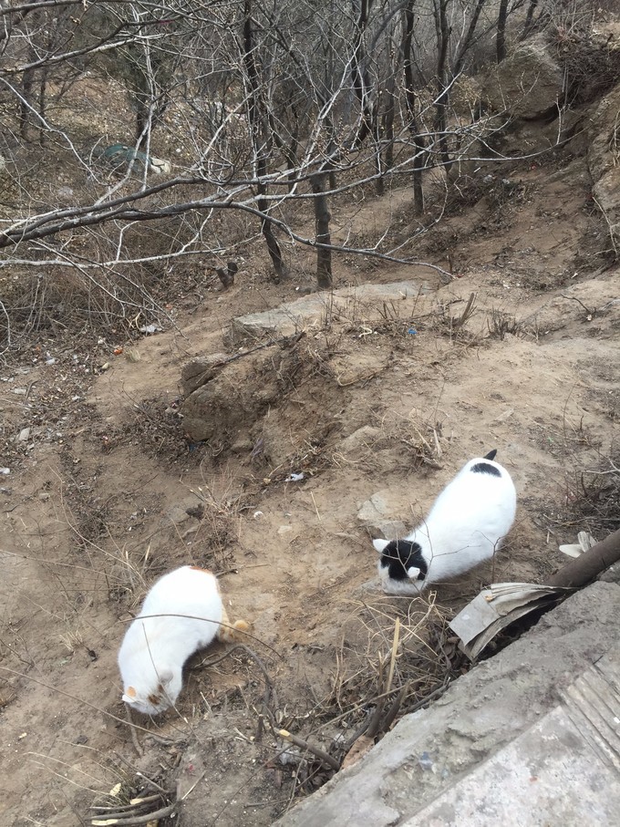 冬天去哪里旅游暖和特点美食,冬季游玩攻略美食推荐