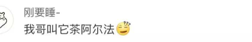 笑喷的各种口误段子,你有经历过因为口误闹出的笑话