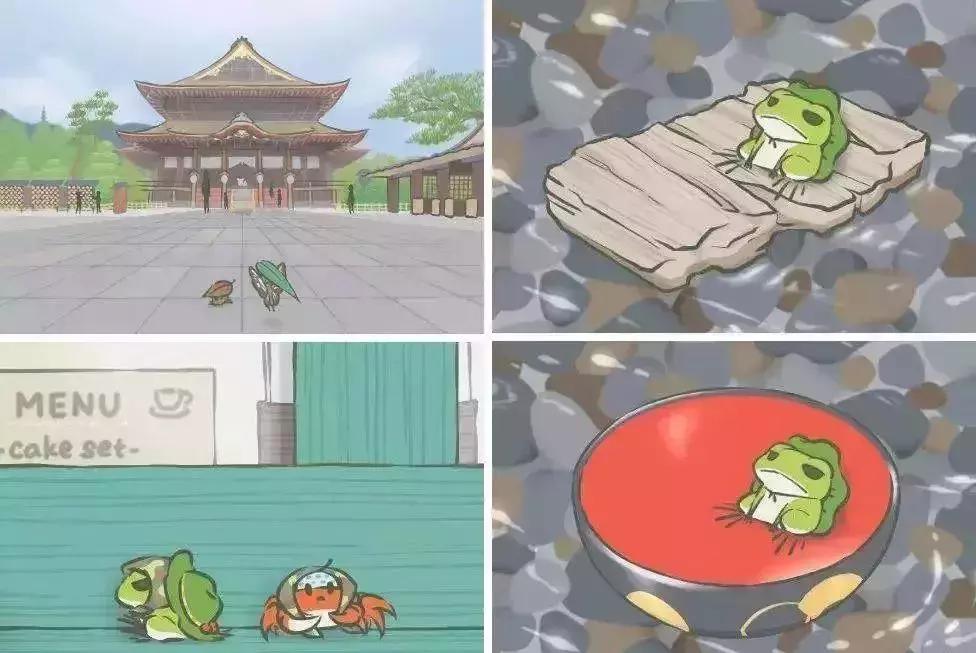 养蛙的成功经历,养蛙的感受和体验