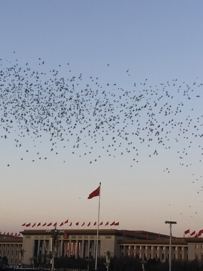 冬天去哪里旅游暖和特点美食,冬季游玩攻略美食推荐