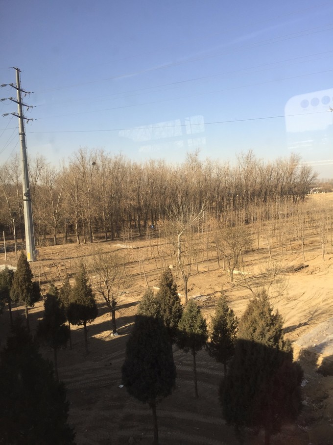 冬天去哪里旅游暖和特点美食,冬季游玩攻略美食推荐