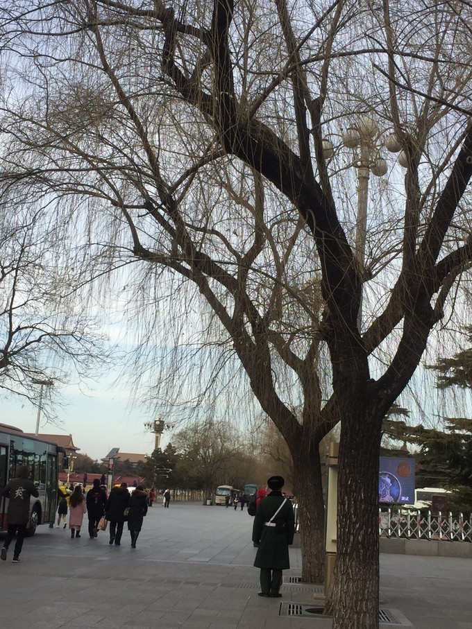 冬天去哪里旅游暖和特点美食,冬季游玩攻略美食推荐