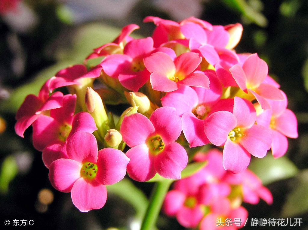 幸福人生格言座右铭励志,幸福励志短句