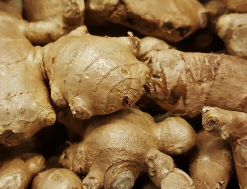 种植一亩地生姜的成本是多少,种植生姜一亩地用多少生物有机肥