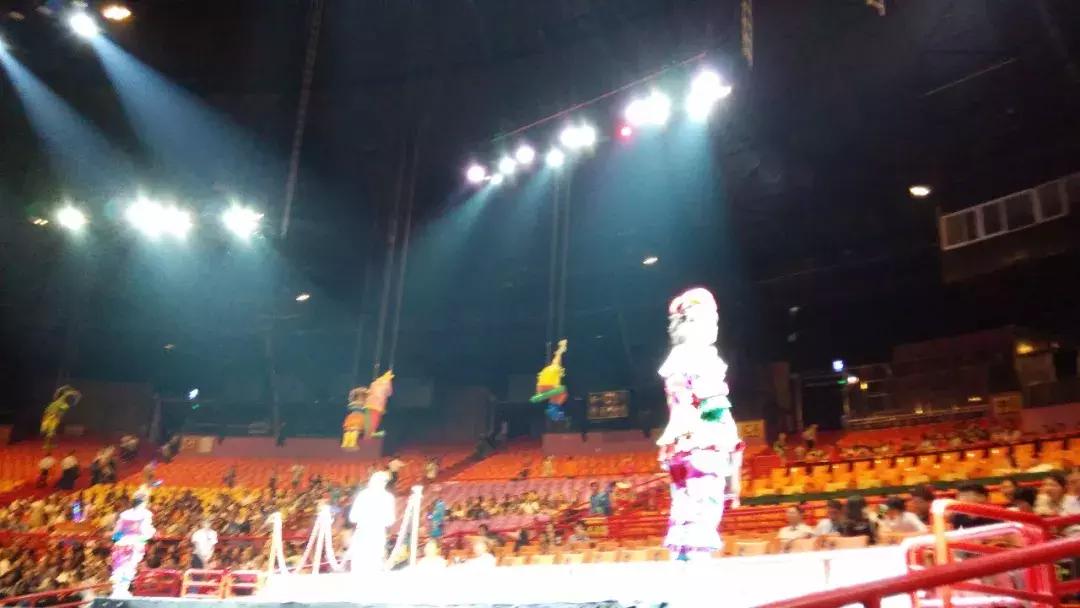 广州长隆野生动物园全程游记,长隆野生动物园游记作文大全