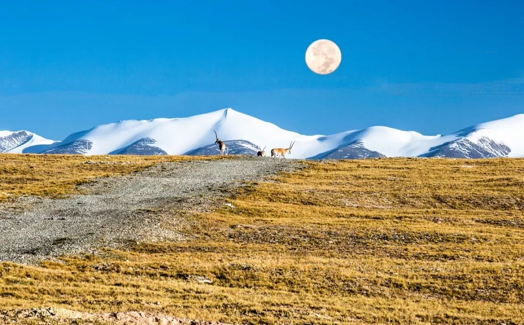 适合一个人去的9个小众旅行地,80个特点旅游活动