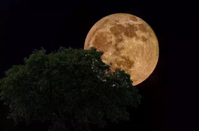 摄影500法则怎么用,玩转摄影十个必备技巧