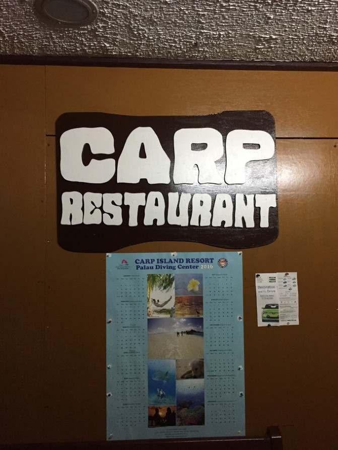 帕劳出行攻略详细,帕劳群岛隐藏攻略