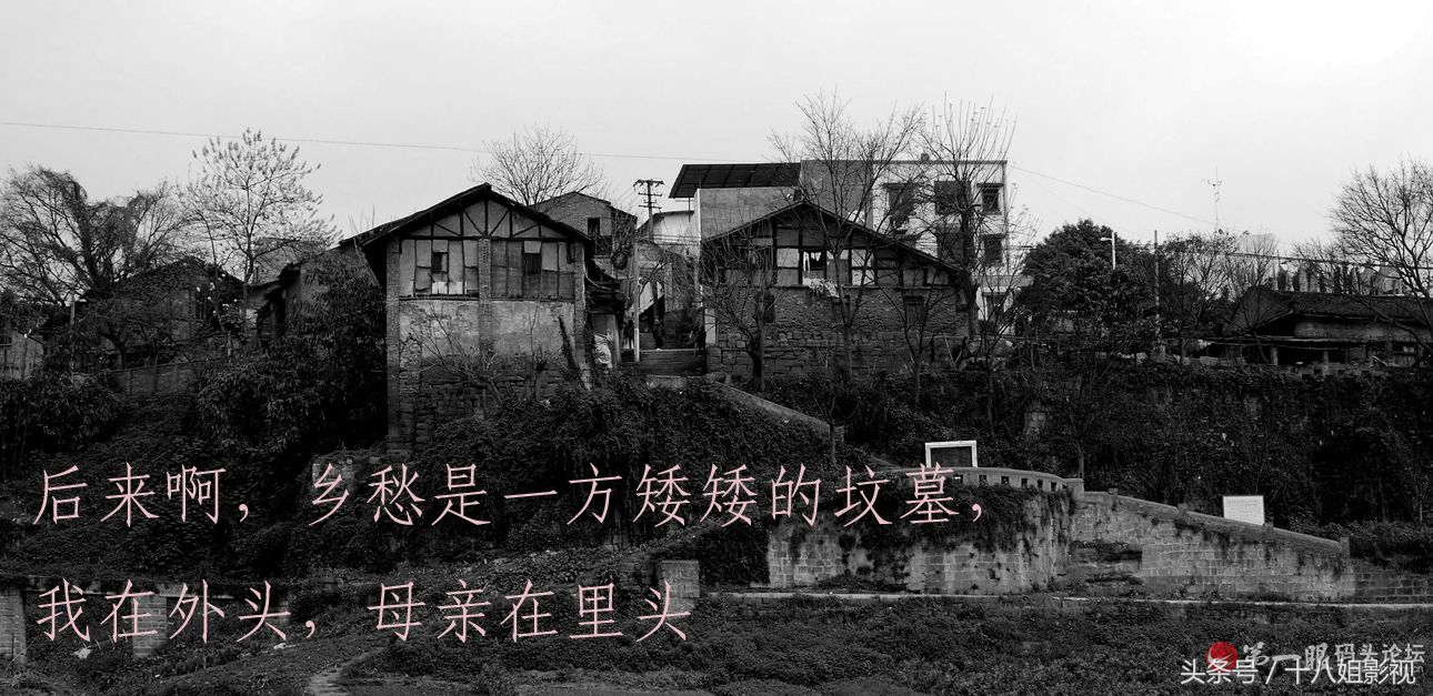 余光中十首最美诗,余光中最经典的十首短诗赏析