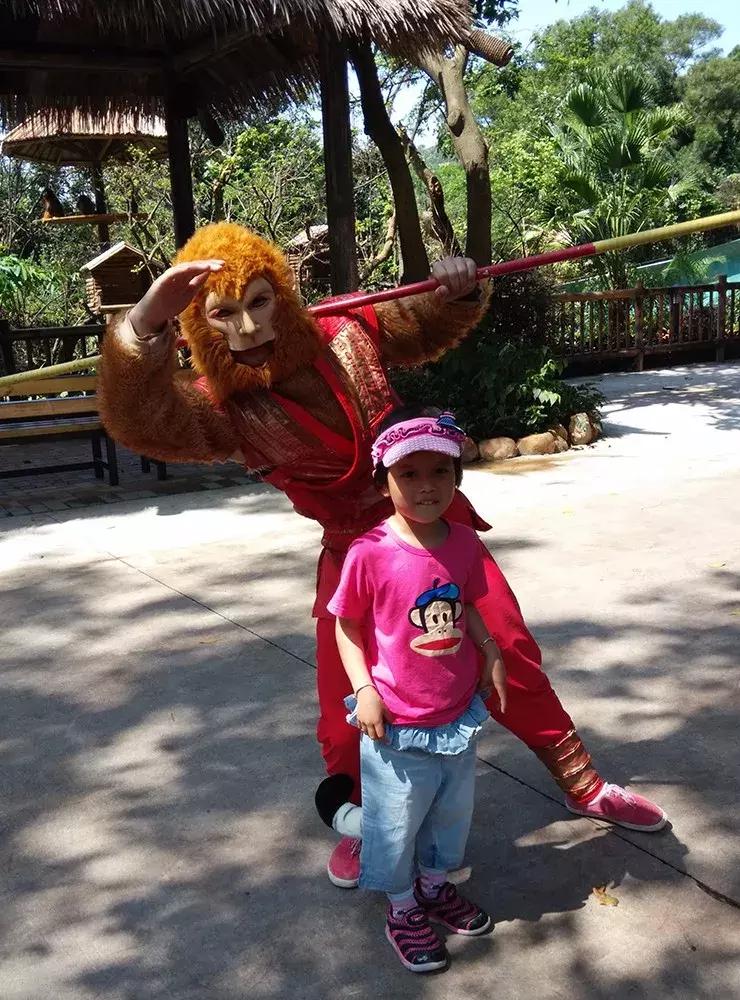 广州长隆野生动物园全程游记,长隆野生动物园游记作文大全