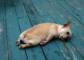 广东人会说不会写的315个粤语字,90%老广都不会写的粤语生僻字