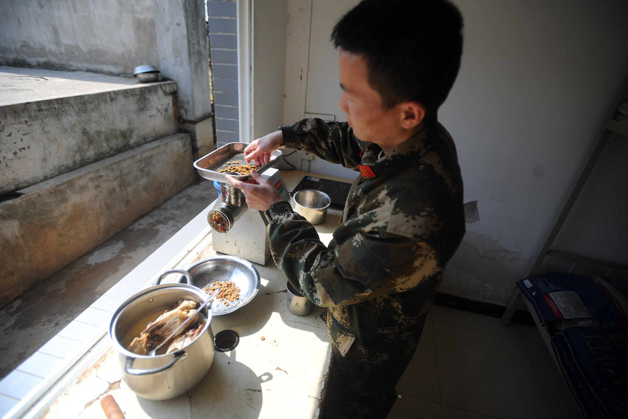 搜救犬跳火圈完整视频,搜救犬在演练中发现幸存者的眼神