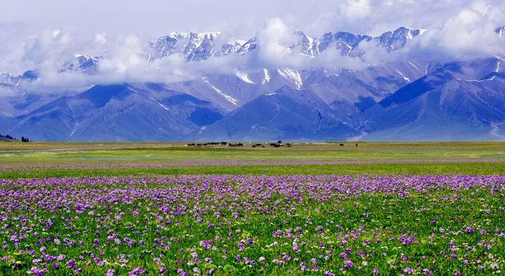 适合一个人去的9个小众旅行地,80个特点旅游活动