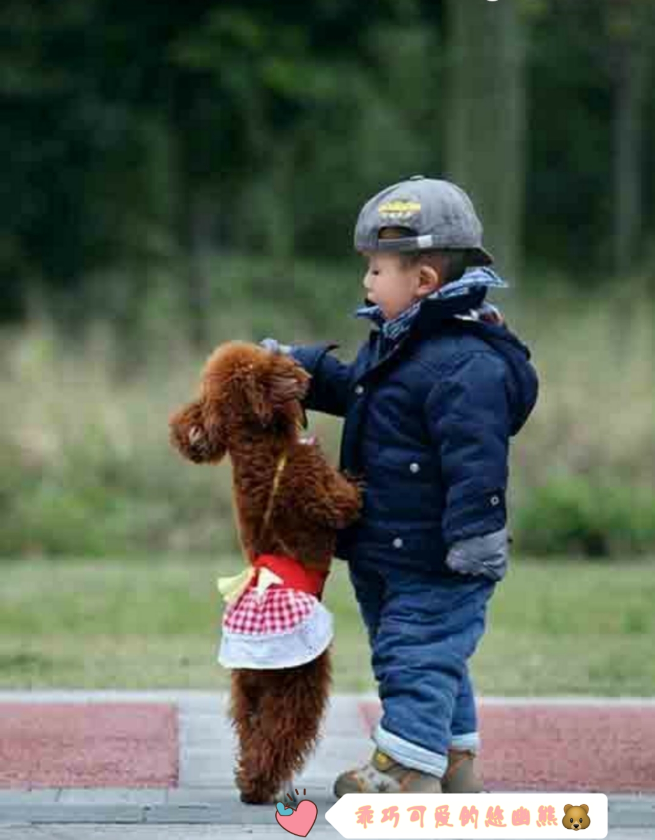 网上买狗不靠谱为啥还有人买,网上买狗需注意什么