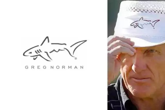 品牌人物ip形象案例,明星的个人品牌标志