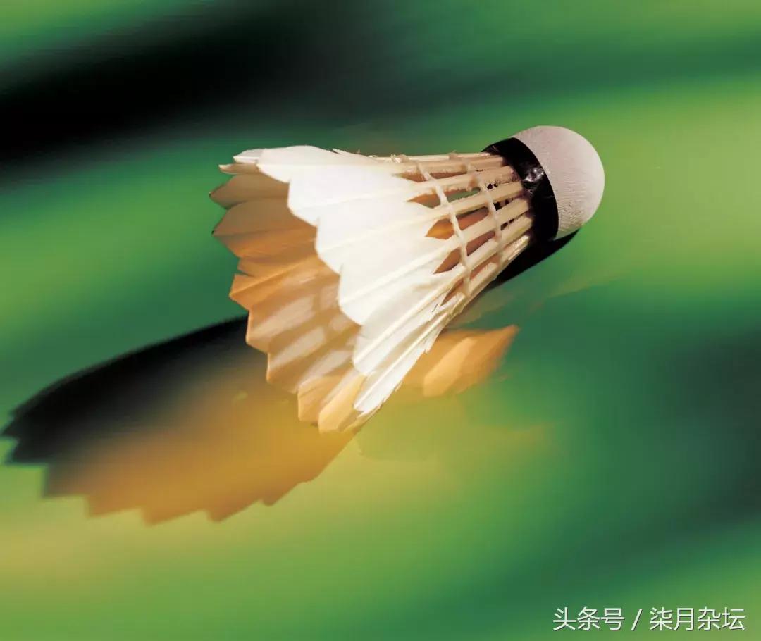 羽毛球运动中如何处理好基本技术,羽毛球每天必练基本功