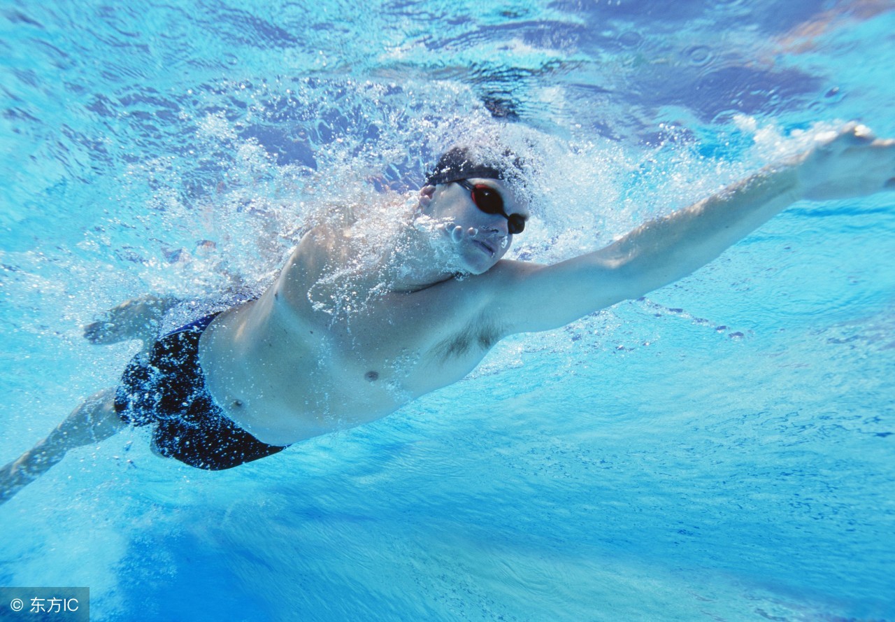 自然科普壁虎为什么会断尾巴,壁虎是怎么掉尾巴的