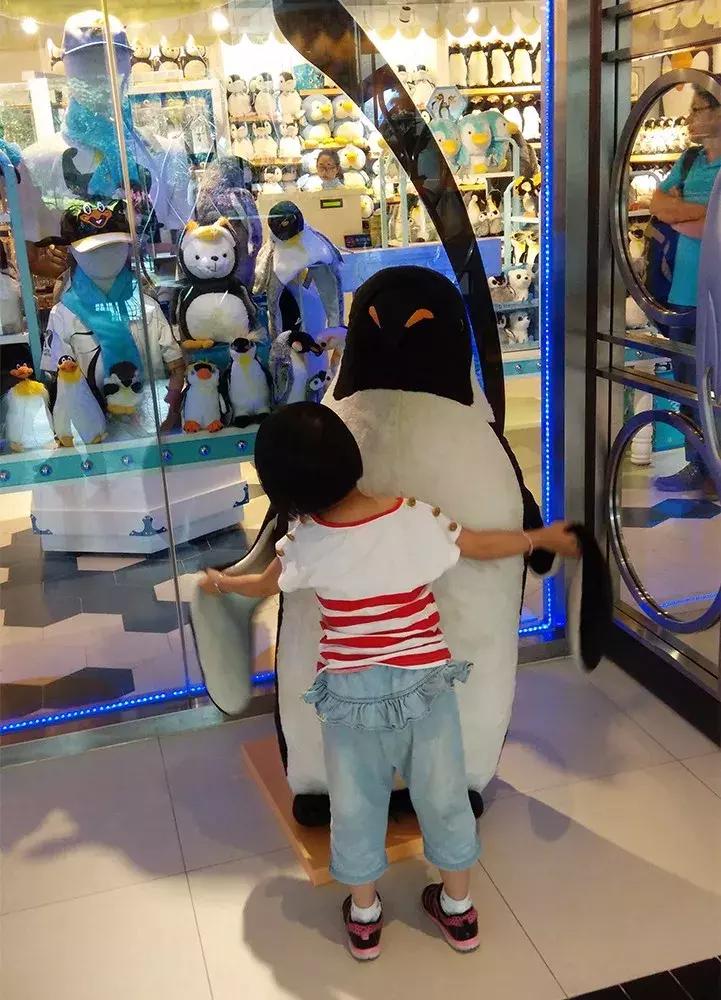 广州长隆野生动物园全程游记,长隆野生动物园游记作文大全