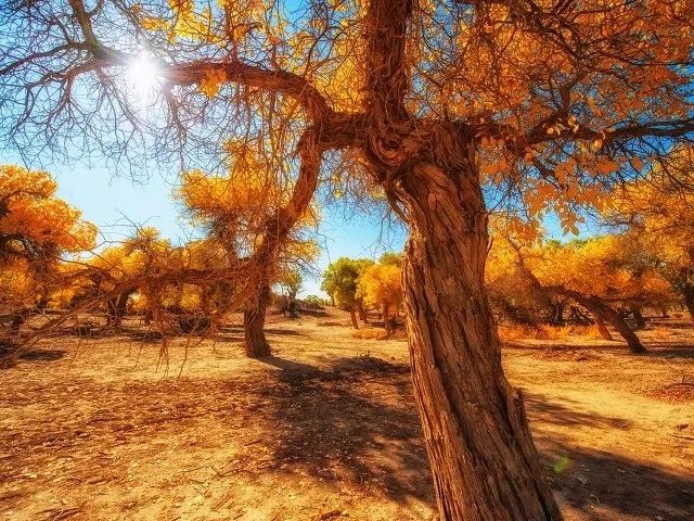 适合一个人去的9个小众旅行地,80个特点旅游活动