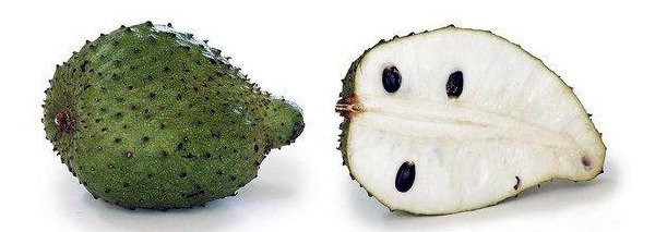 帕劳出行攻略详细,帕劳群岛隐藏攻略