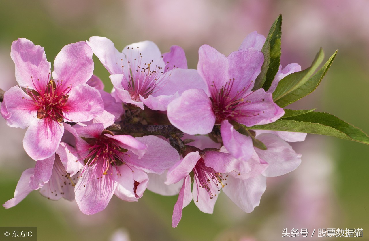 a股今年上涨趋势最好的个股,有望走出单边上涨行情的100只股票